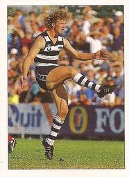 1990 Select AFL Stickers #116 Garry Hocking Front